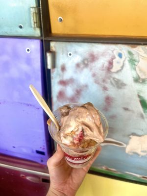 Tsoynami pb ‘n’ j  at nami Vegan Sweets in Phoenix