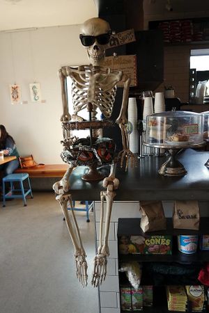 Halloween time @ this fabulous place for the best breakfast you can find! Can't beleive my eyes that everything was vegan when i came in. Definitely in love with that place, their food and people. at nami Vegan Sweets in Phoenix