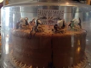 Hot Cocoa cake (delicious!) at nami Vegan Sweets in Phoenix