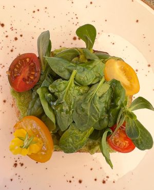 Avocado toast without egg, cheese, or butter.  at Alma Tierra Restaurante in Tijuana