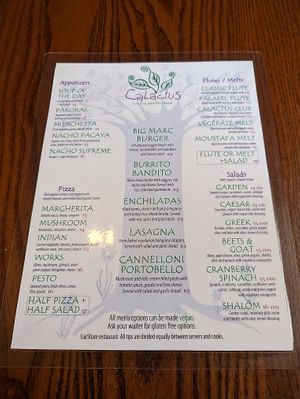 Menu. at Calactus Cafe in Moncton