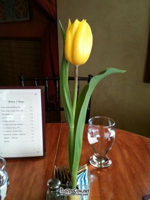 Fresh flowers everyday at Calactus Cafe in Moncton