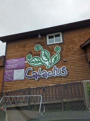 Calactus at Calactus Cafe in Moncton