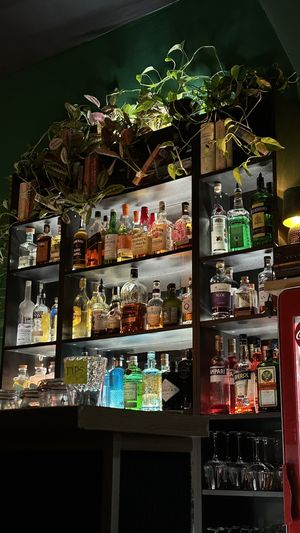   at bar GINGER in Prague