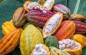 @witsss.ph at Wit's Sweets & Savouries in Taguig