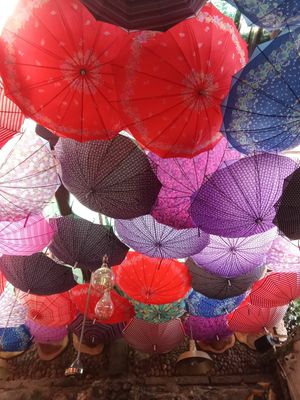  at La Mulata in Cartagena