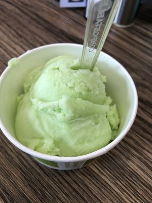Vegan apple ice cream  at No. 19 in Avoch