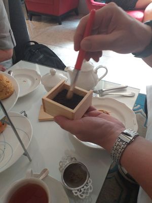 Excavating at The Drawing Rooms in South West London