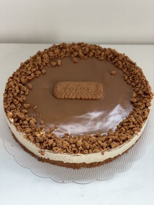   at Junglicious in Evergem