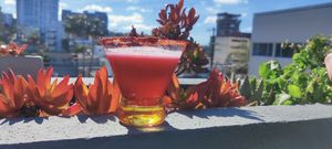 Mezcalita jamaica serrano at Bhumi in Tijuana