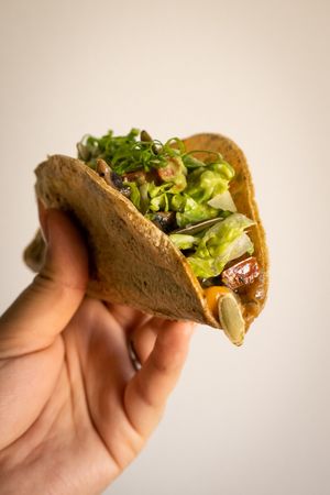Taco gobernador at Bhumi in Tijuana