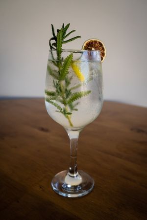 Gin & tonic at Bhumi in Tijuana