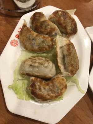 19 fried dumpling  鍋貼  at Lucky Vege House Inc in Brooklyn
