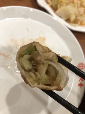 19 fried dumpling 鍋貼  at Lucky Vege House Inc in Brooklyn