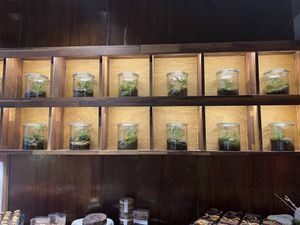   at Savage Garden - Maybe closed in Seoul