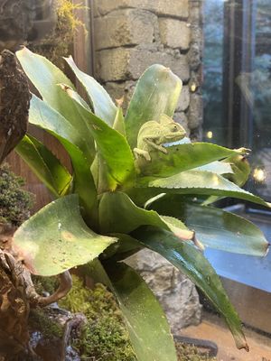   at Savage Garden - Maybe closed in Seoul