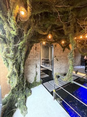 Brining trees wrapped by moss to inside  at Savage Garden - Maybe closed in Seoul