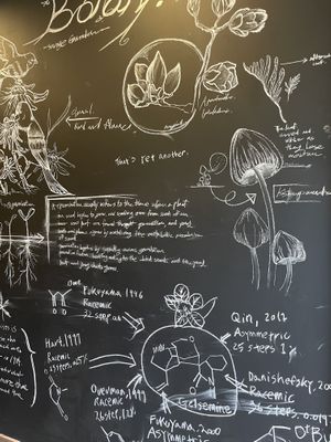 Wall decoration   at Savage Garden - Maybe closed in Seoul