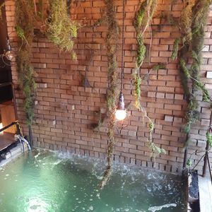 Cool water features at Savage Garden - Maybe closed in Seoul