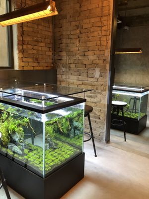 Interior  at Savage Garden - Maybe closed in Seoul