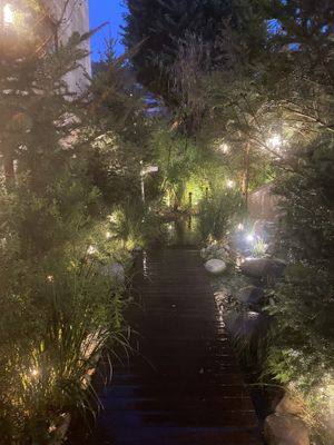 Are we even in Seoul anymore?     at Savage Garden - Maybe closed in Seoul