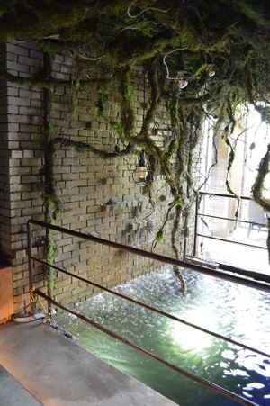 Water level at Savage Garden - Maybe closed in Seoul