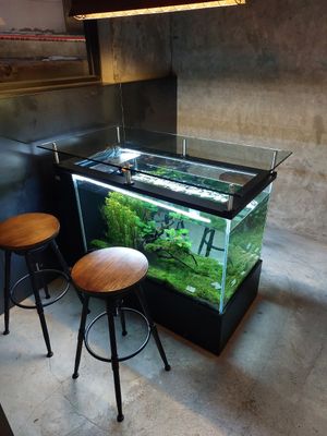 Cool tables at Savage Garden - Maybe closed in Seoul