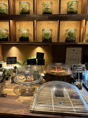   at Savage Garden - Maybe closed in Seoul