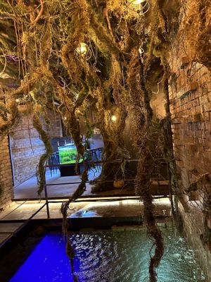   at Savage Garden - Maybe closed in Seoul