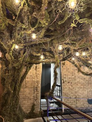   at Savage Garden - Maybe closed in Seoul