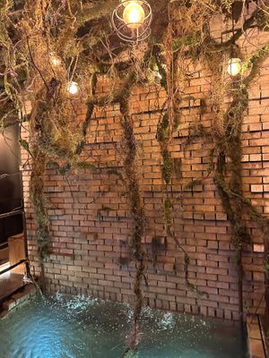   at Savage Garden - Maybe closed in Seoul