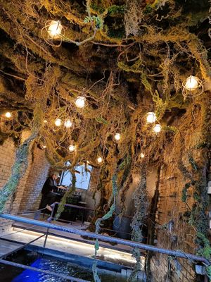 Inside at Savage Garden - Maybe closed in Seoul