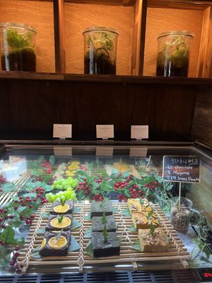   at Savage Garden - Maybe closed in Seoul