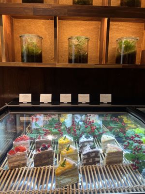   at Savage Garden - Maybe closed in Seoul