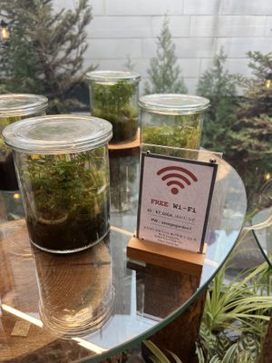   at Savage Garden - Maybe closed in Seoul