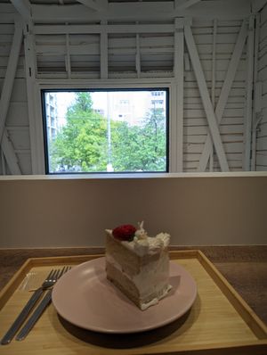 View from dining area at Trick or Treat Vegan Sweets (formerly Canelita Sweets) in Osaka