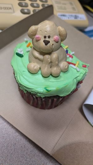  at Trick or Treat Vegan Sweets (formerly Canelita Sweets) in Osaka