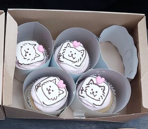 Order made cupcakes at Trick or Treat Vegan Sweets (formerly Canelita Sweets) in Osaka