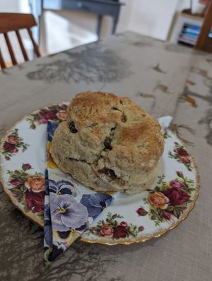 Massive vegan fruit scones served with squirty cream and tip tree jam at Fox In The Stables in Halstead