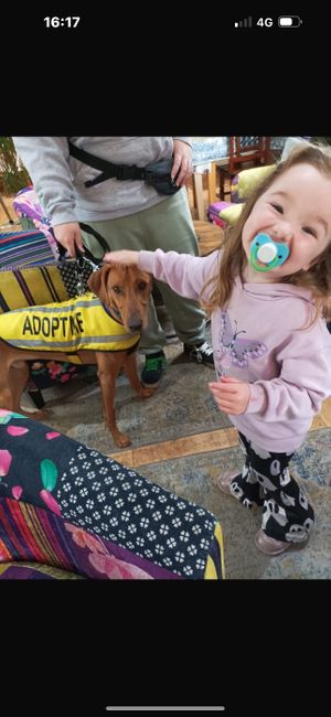  at Fox In The Stables in Halstead