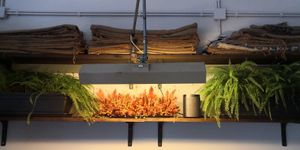 Decoration at Combi Coffee Roasters in Porto