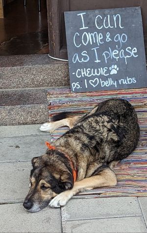 Maitre 'D Chewie at Chewie's Bar in Stockholm