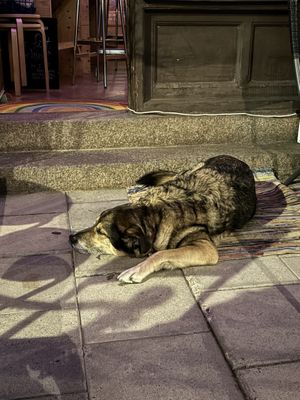   at Chewie's Bar in Stockholm