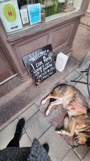  at Chewie's Bar in Stockholm