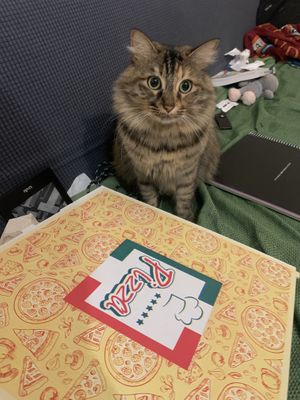   at Pizzeria Monte Santo in Viterbo