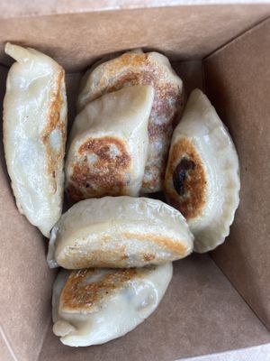 Mushroom onion potato pierogi  at Inna's Pierogi Shop in Lititz