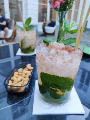  at PLANTn - Sapphire House Antwerp in Antwerpen