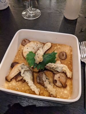  at PLANTn - Sapphire House Antwerp in Antwerpen