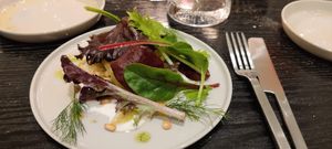 Little gem at PLANTn - Sapphire House Antwerp in Antwerpen