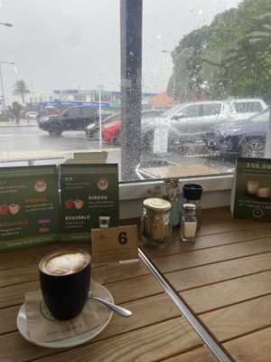   at Earth Store  in Whitianga